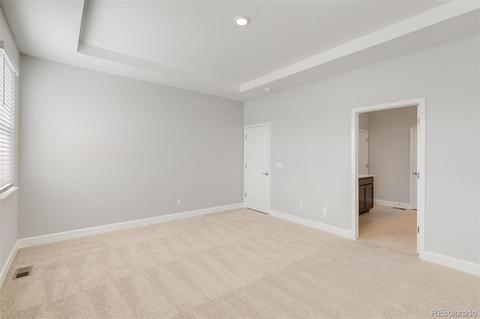 558 Fall River Ct, Brighton, CO 80601 photo 18