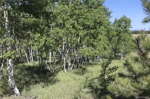 1014 Brahma Ct, Hartsel, CO 80449