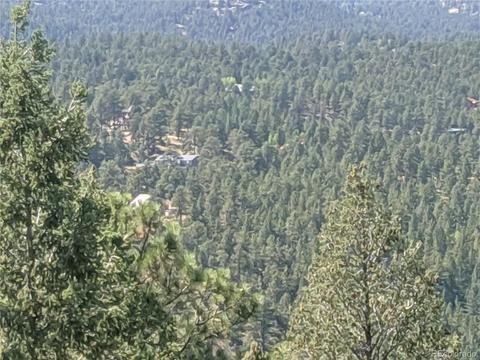15600 S Pitkin Ln, Pine, CO 80470 photo 3