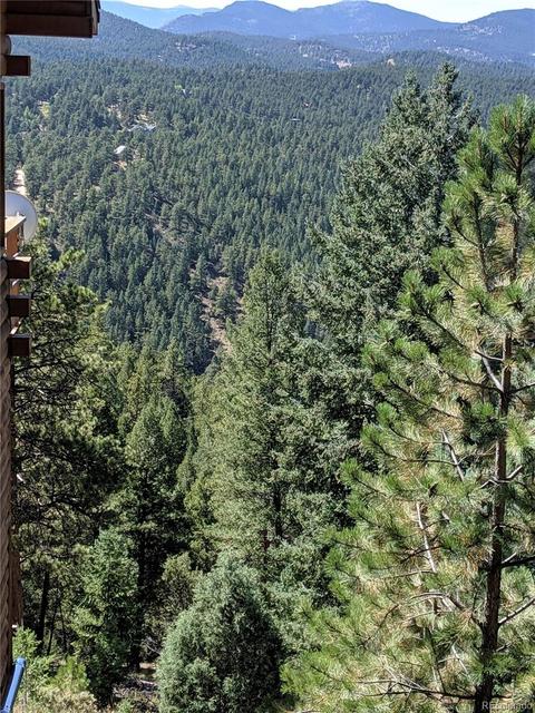 15600 S Pitkin Ln, Pine, CO 80470 photo 4