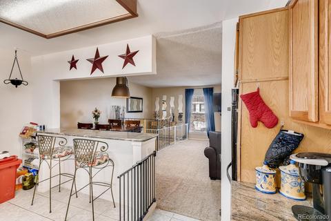 4433 S Yank St, Morrison, CO 80465 photo 10