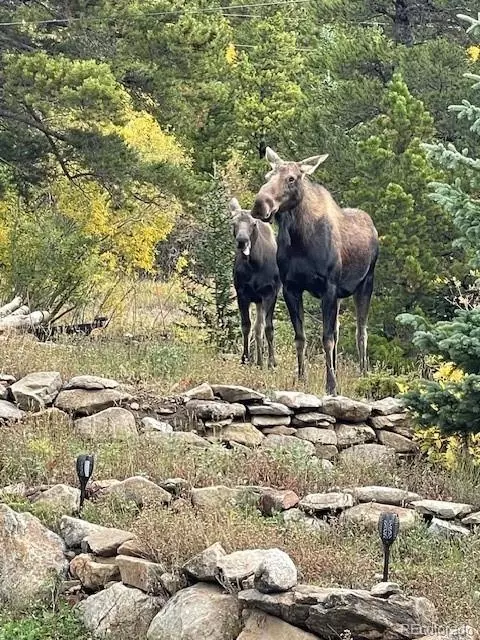 39 Silver Creek Road, Idaho Springs, CO 80452
