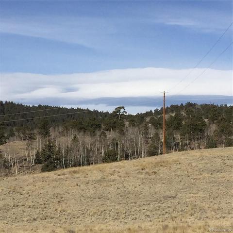 183 Pheasant Run, Como, CO 80432 photo 1