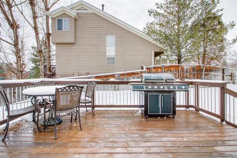 6702 Tiger Tooth, Lone Tree, CO 80124 photo 29