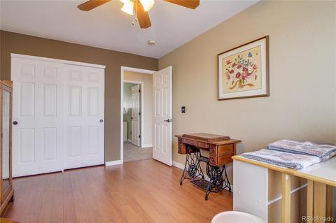 6702 Tiger Tooth, Lone Tree, CO 80124 photo 23
