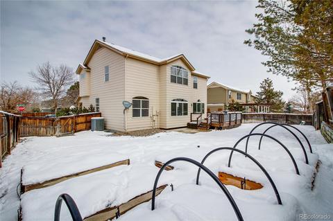 6702 Tiger Tooth, Lone Tree, CO 80124 photo 30