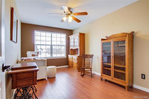 6702 Tiger Tooth, Lone Tree, CO 80124 photo 22
