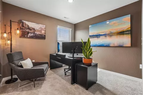 Other - 18028 Dandy Brush Ln, Parker, CO 80134 photo 1 of 4