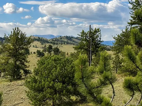 115 Black Canyon Ct, Hartsel, CO 80449