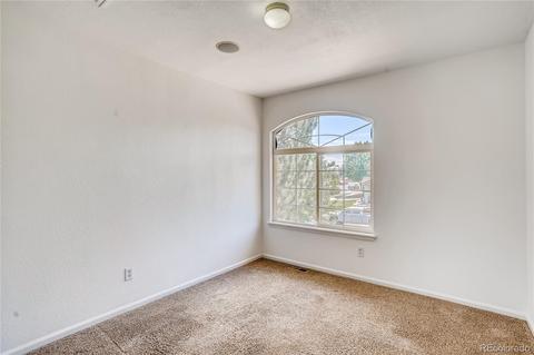 19671 E 48th Pl, Denver, CO 80249 photo 21