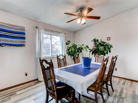 11668 W Marlowe Ave, Morrison, CO 80465 photo 12