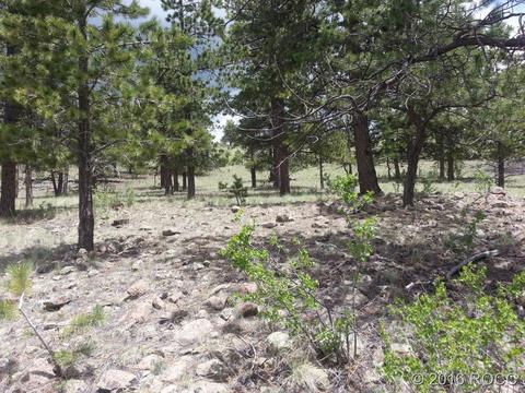 256 Haystack, Hartsel, CO 80449 photo 1