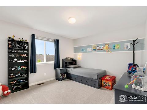 411 Wind River Dr, Windsor, CO 80550 photo 20