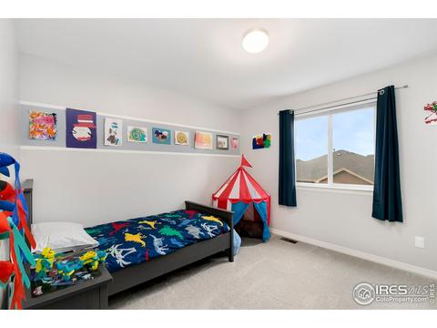411 Wind River Dr, Windsor, CO 80550 photo 23