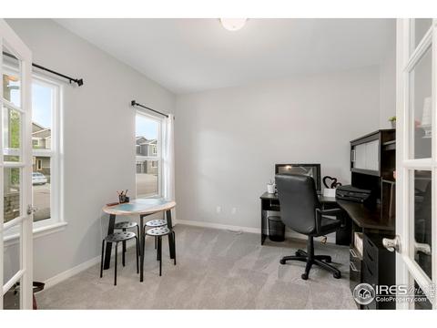 411 Wind River Dr, Windsor, CO 80550 photo 6