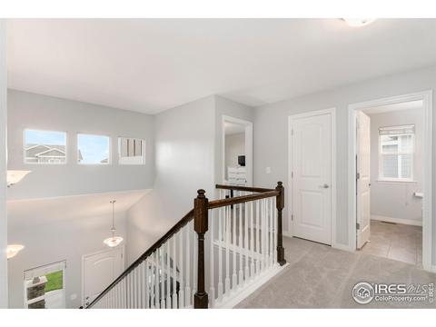 411 Wind River Dr, Windsor, CO 80550 photo 15