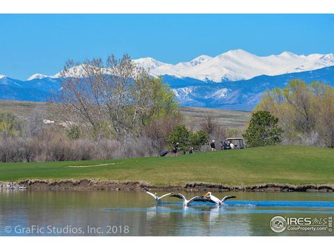 1971 Shadow Lake Dr, Windsor, CO 80550 photo 6