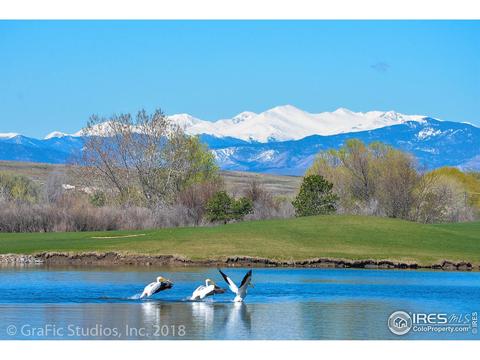 1971 Shadow Lake Dr, Windsor, CO 80550 photo 3