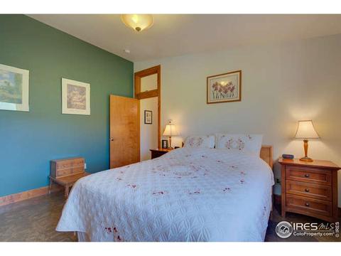 108 Lonestar Rd, Lyons, CO 80540 photo 22