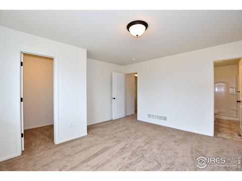 1522 Wavecrest Dr, Windsor, CO 80550 photo 22