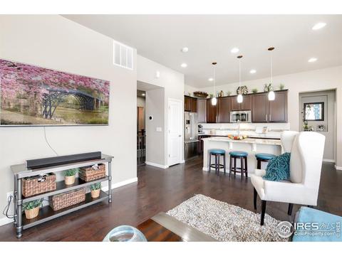 11680 E 163rd Ct, Brighton, CO 80602 photo 9