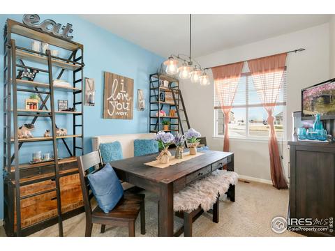 11680 E 163rd Ct, Brighton, CO 80602 photo 5