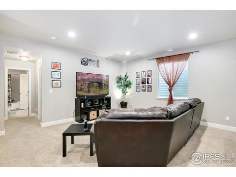 11680 E 163rd Ct, Brighton, CO 80602 photo 22