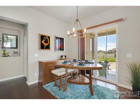 11680 E 163rd Ct, Brighton, CO 80602 photo 14
