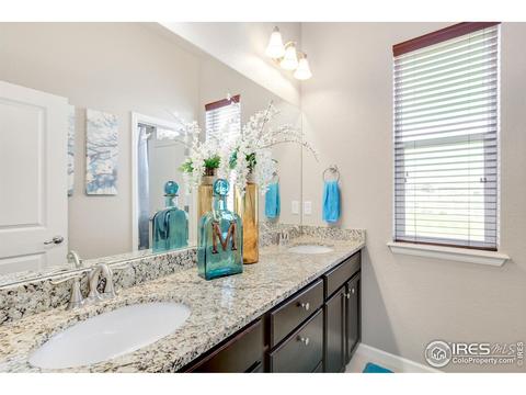 11680 E 163rd Ct, Brighton, CO 80602 photo 20