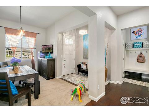 11680 E 163rd Ct, Brighton, CO 80602 photo 4