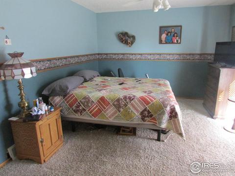 960 Hemlock Dr, Windsor, CO 80550 photo 11