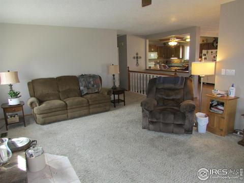 960 Hemlock Dr, Windsor, CO 80550 photo 8