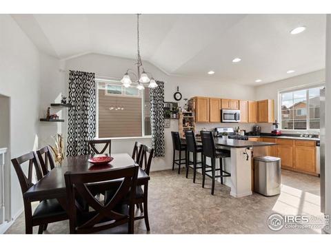 375 Shadowbrook Dr, Windsor, CO 80550 photo 7