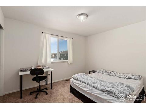 375 Shadowbrook Dr, Windsor, CO 80550 photo 11