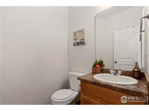 375 Shadowbrook Dr, Windsor, CO 80550 photo 14