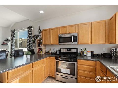 375 Shadowbrook Dr, Windsor, CO 80550 photo 5