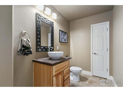 5355 Brookline Dr, Timnath, CO 80547 photo 28