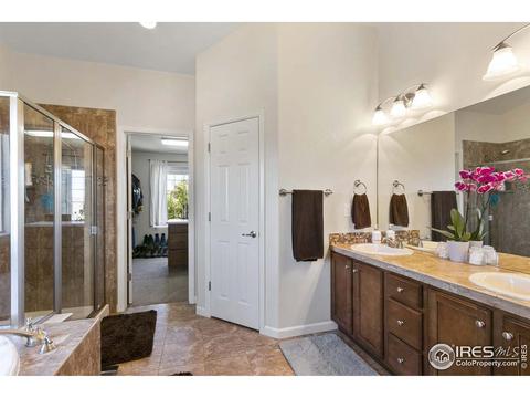 5355 Brookline Dr, Timnath, CO 80547 photo 18