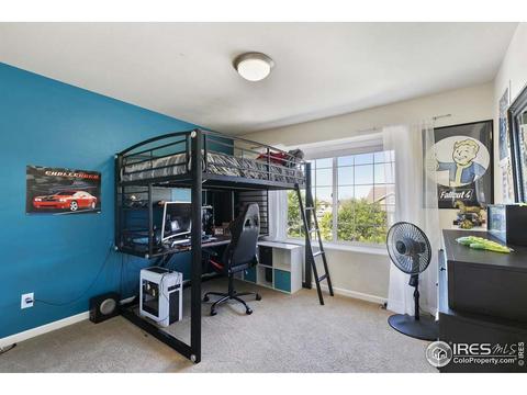 5355 Brookline Dr, Timnath, CO 80547 photo 20