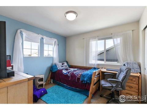 5355 Brookline Dr, Timnath, CO 80547 photo 22
