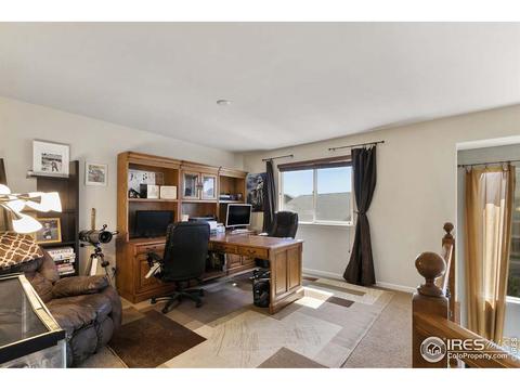 5355 Brookline Dr, Timnath, CO 80547 photo 16