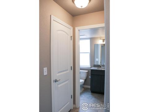 1750 Sipson Dr, Windsor, CO 80550 photo 22