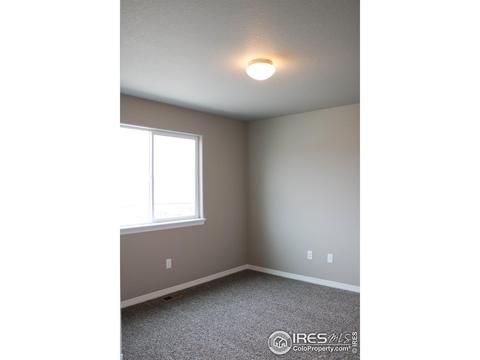 1750 Sipson Dr, Windsor, CO 80550 photo 24