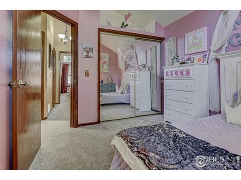 3950 E 135th Pl, Thornton, CO 80241 photo 13