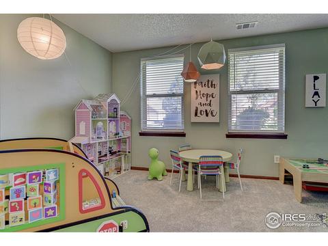 3950 E 135th Pl, Thornton, CO 80241 photo 26