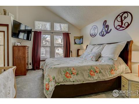 3950 E 135th Pl, Thornton, CO 80241 photo 18