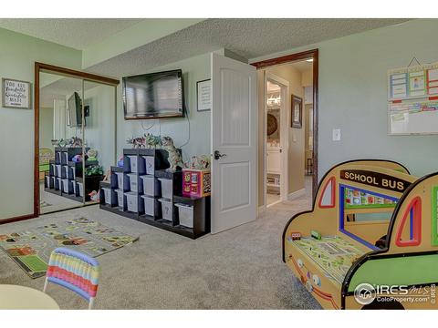 3950 E 135th Pl, Thornton, CO 80241 photo 27