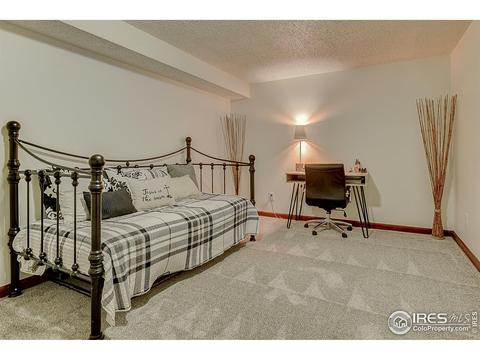 3950 E 135th Pl, Thornton, CO 80241 photo 29