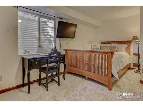 3950 E 135th Pl, Thornton, CO 80241 photo 28