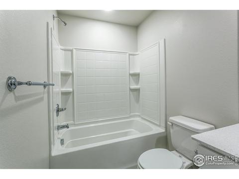 5748 Stone Fly Dr, Timnath, CO 80547 photo 36